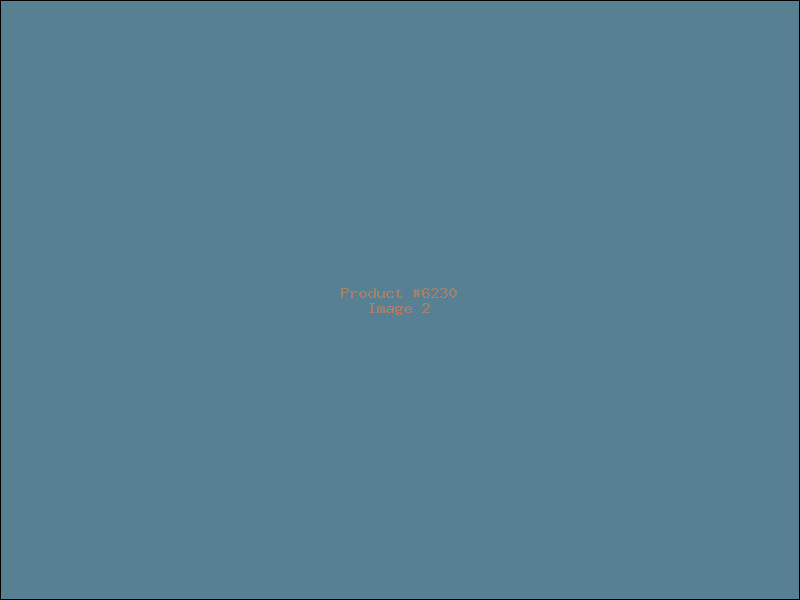 Example Product 6230 - Image 2