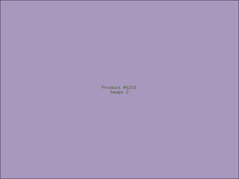 Example Product 6231 - Image 2