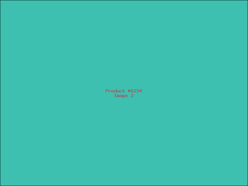 Example Product 6234 - Image 2
