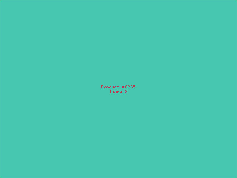 Example Product 6235 - Image 2