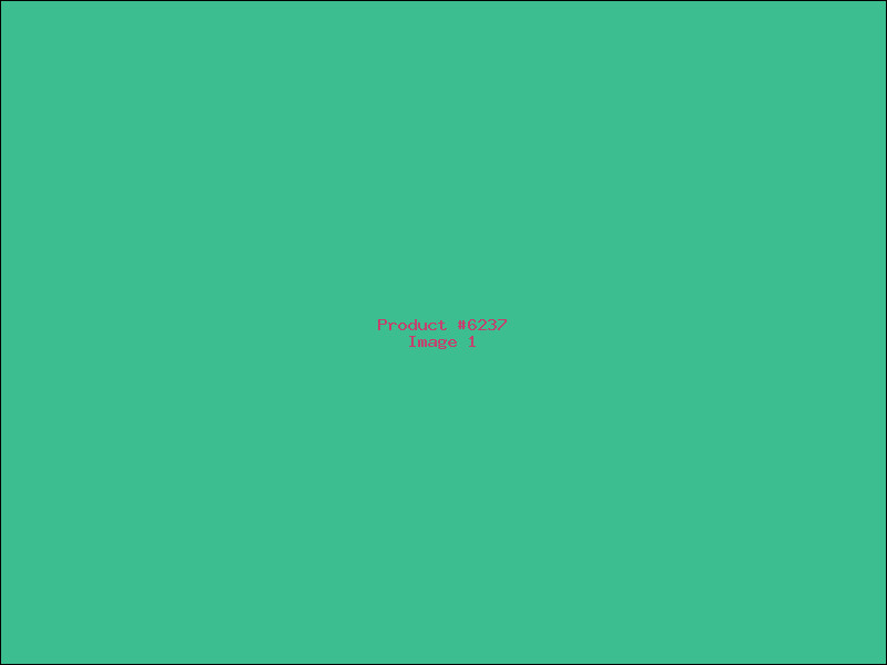 Example Product 6237
