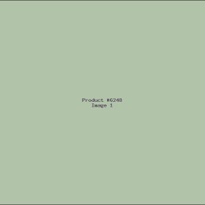 Example Product 6248