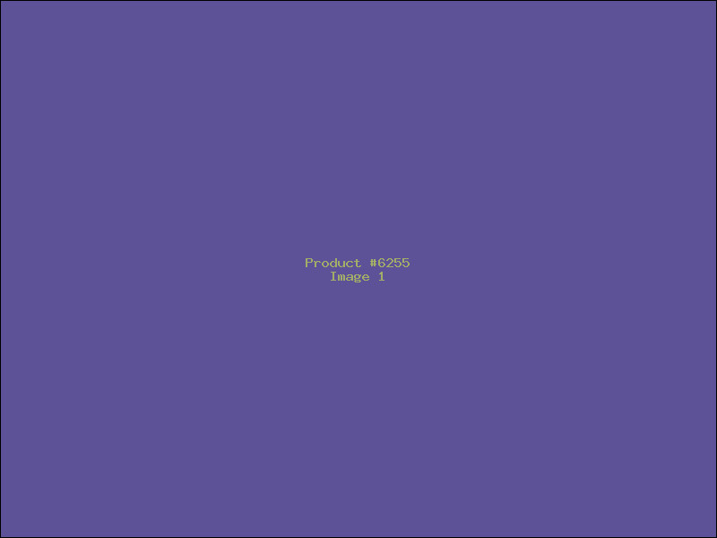 Example Product 6255