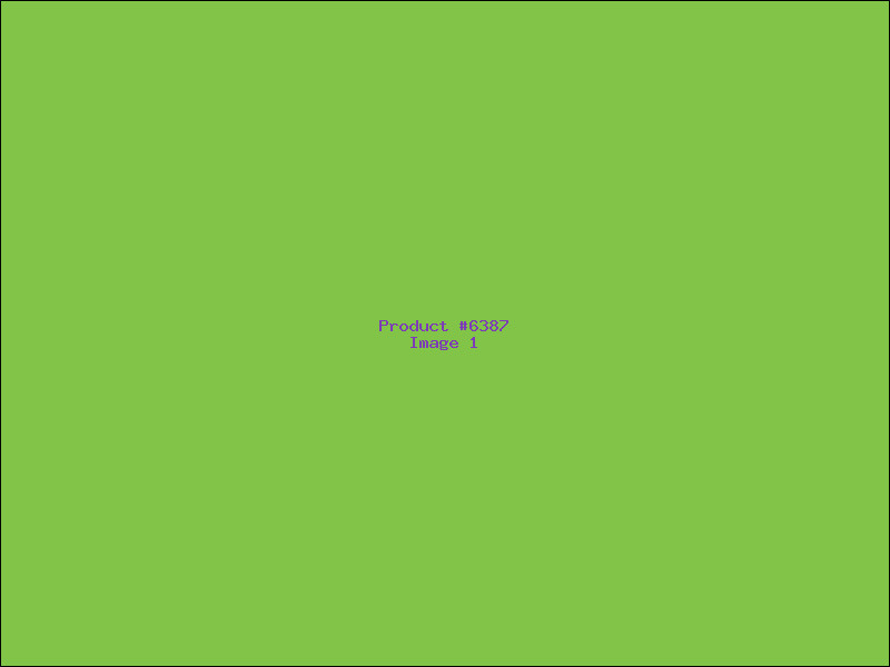 Example Product 6387
