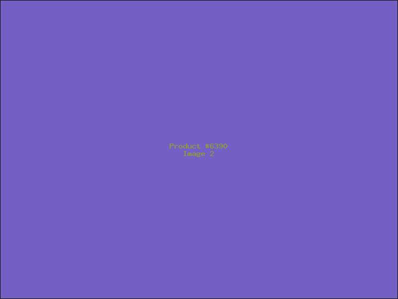 Example Product 6390 - Image 2