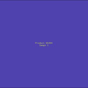 Example Product 6494