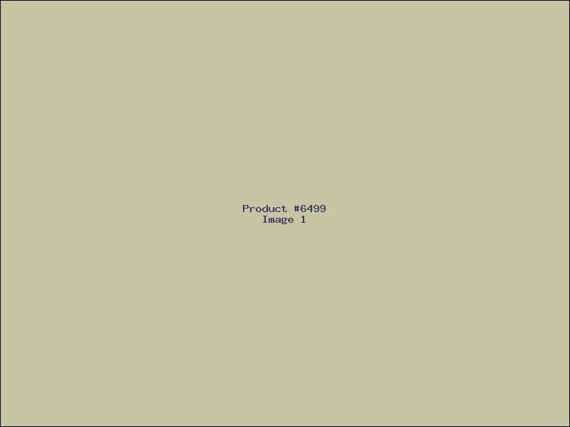 Example Product 6499