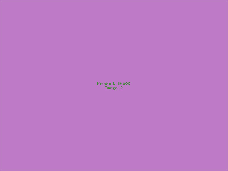 Example Product 6500 - Image 2