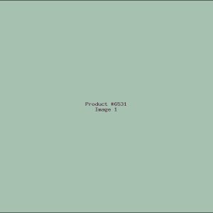 Example Product 6531