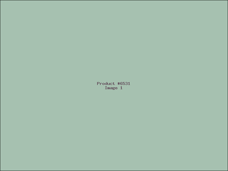 Example Product 6531