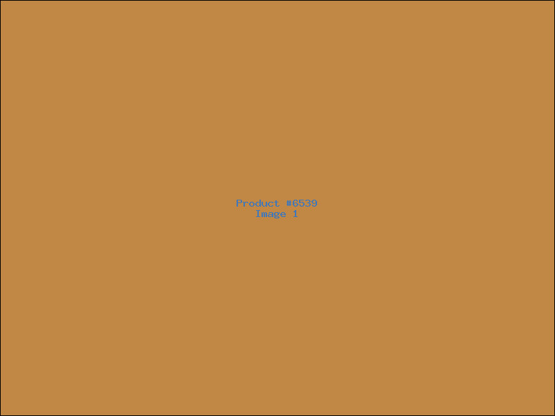 Example Product 6539