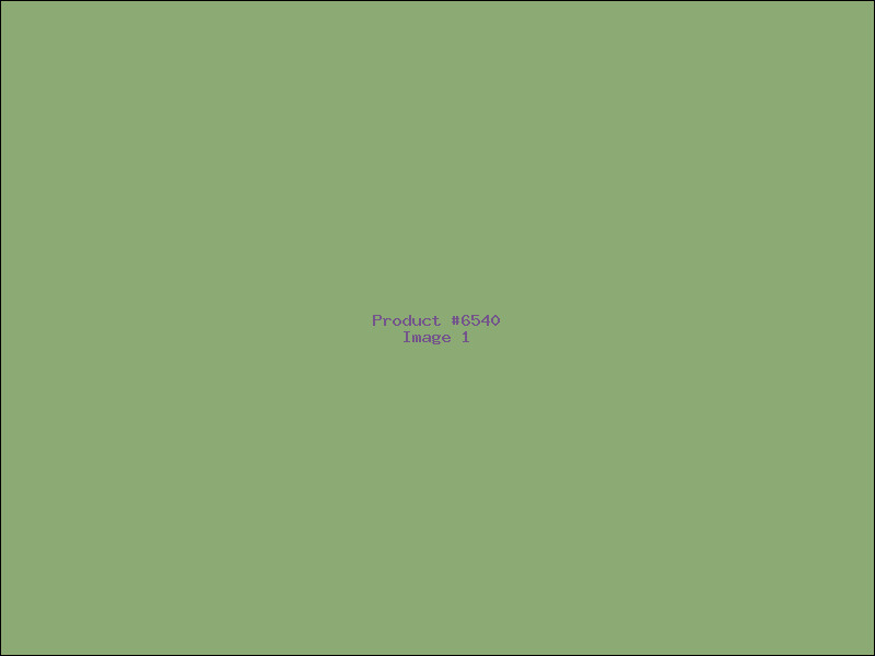 Example Product 6540
