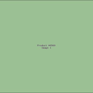 Example Product 6560