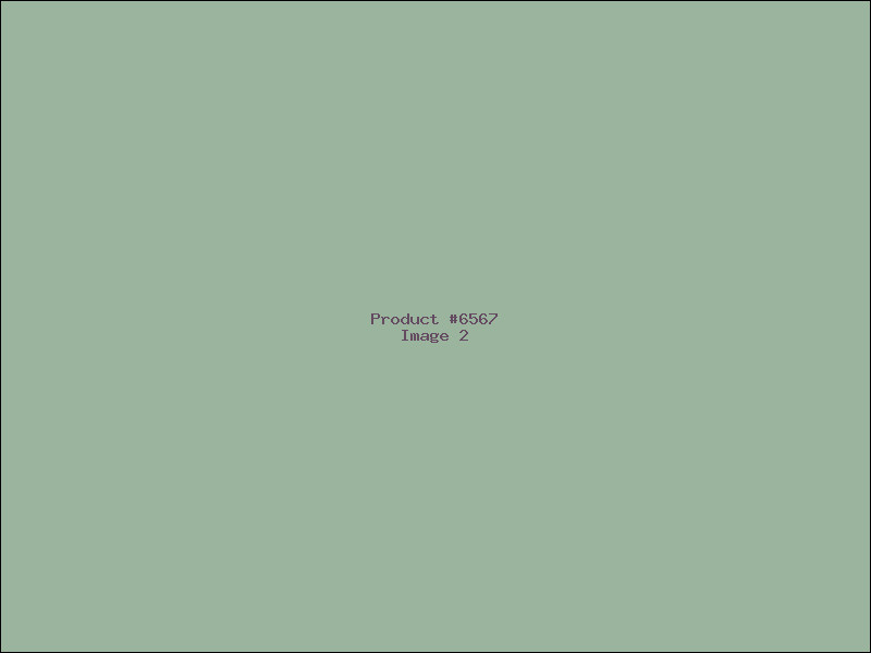 Example Product 6567 - Image 2