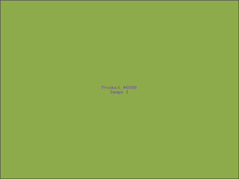 Example Product 6588