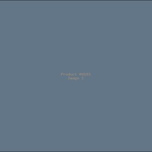 Example Product 6593