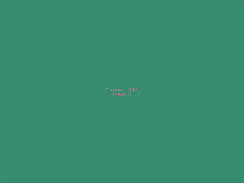 Example Product 661 - Image 2
