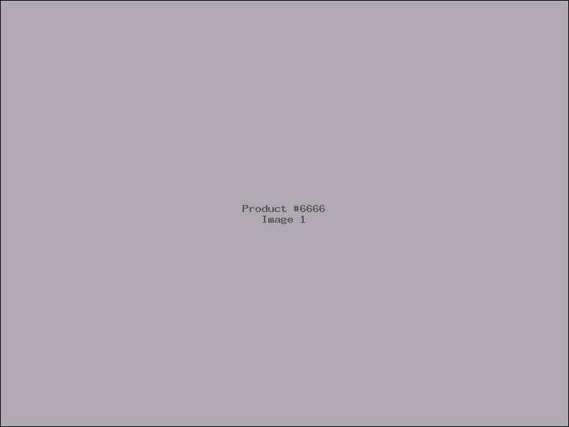 Example Product 6666