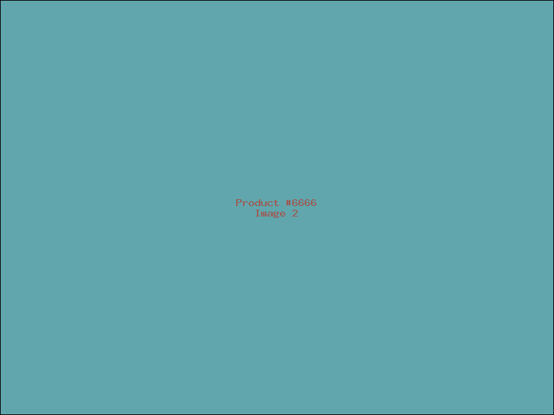 Example Product 6666 - Image 2