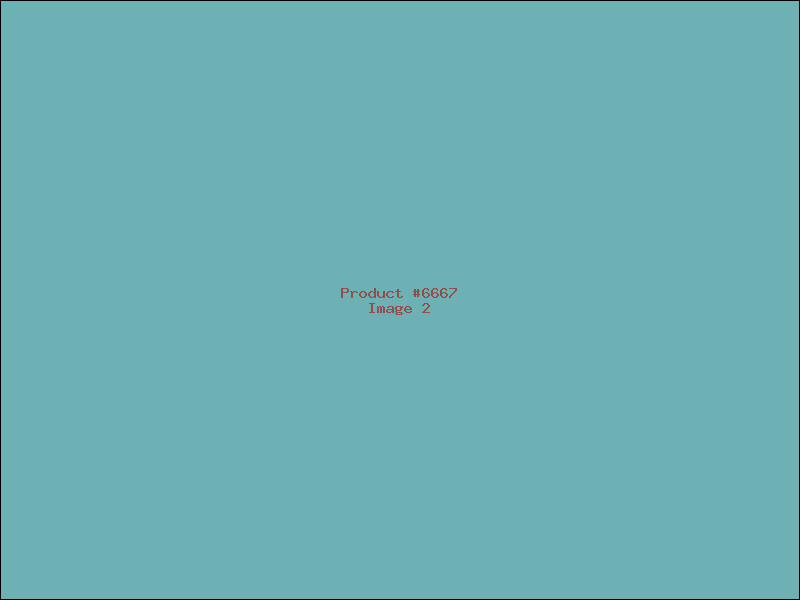 Example Product 6667 - Image 2