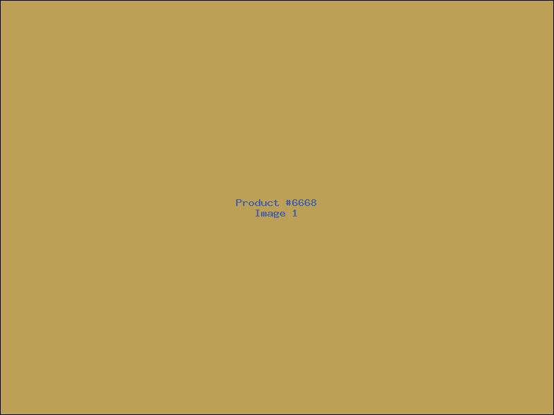 Example Product 6668