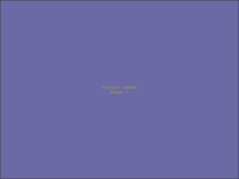 Example Product 6668 - Image 2