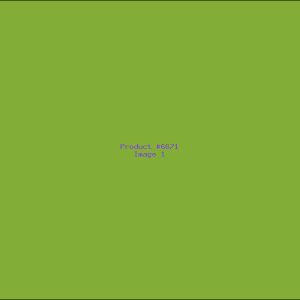 Example Product 6671