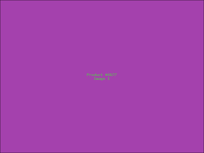 Example Product 6677