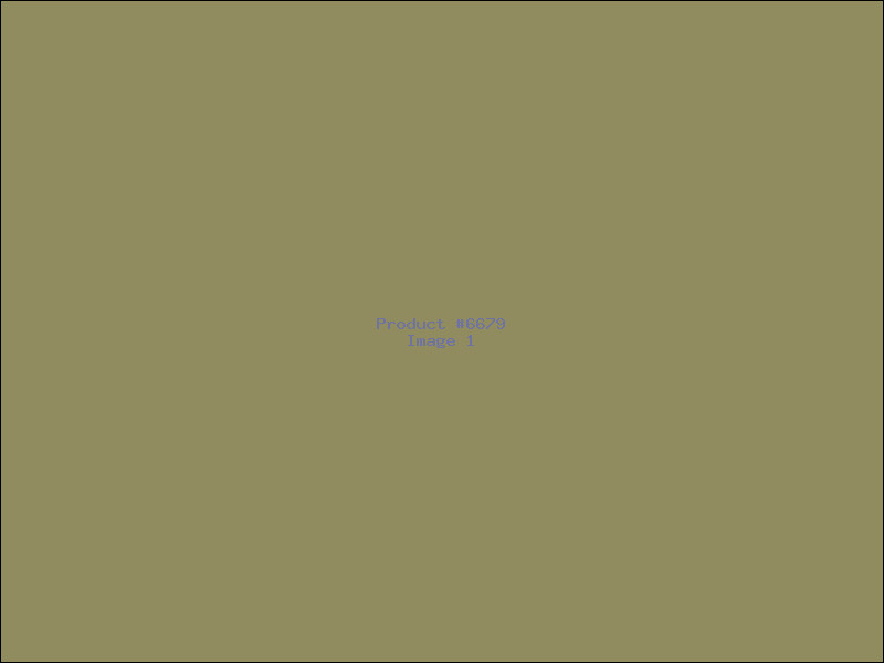 Example Product 6679