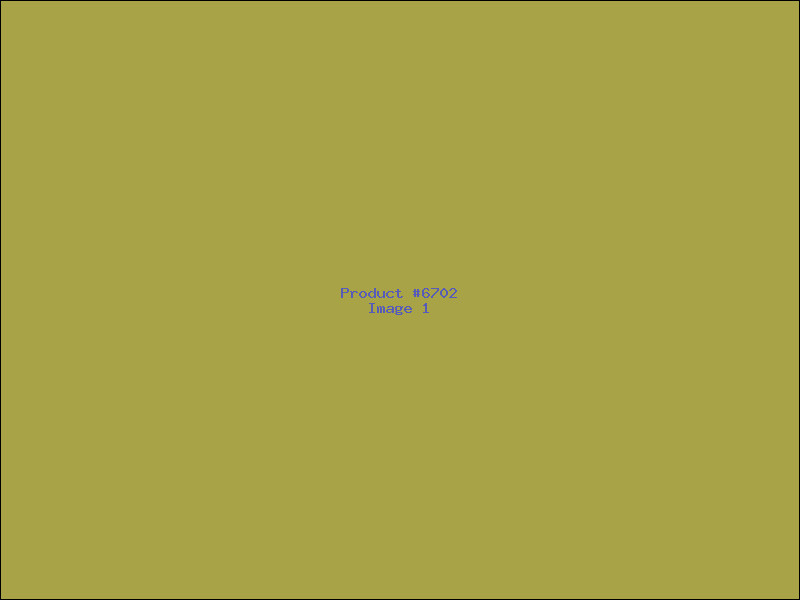 Example Product 6702