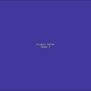 Example Product 6708