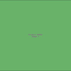 Example Product 6803