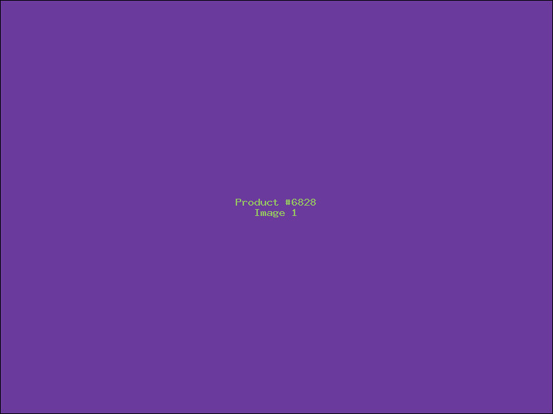 Example Product 6828
