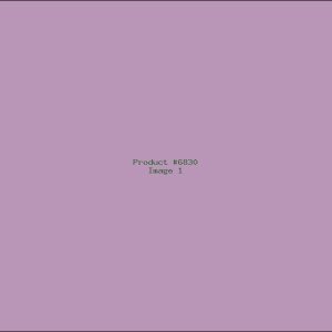 Example Product 6830