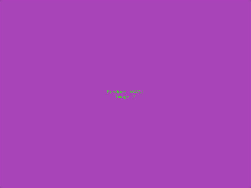 Example Product 6831 - Image 2