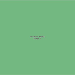 Example Product 6861