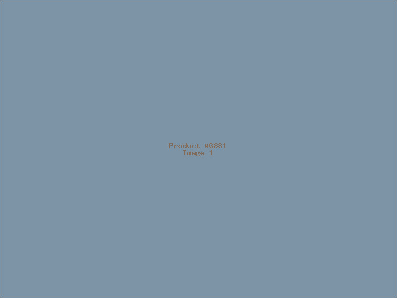Example Product 6881