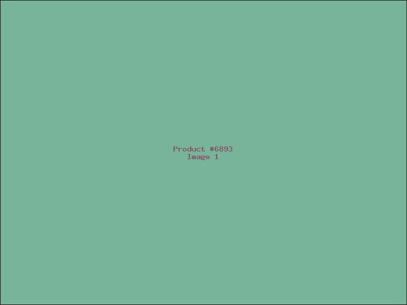 Example Product 6893