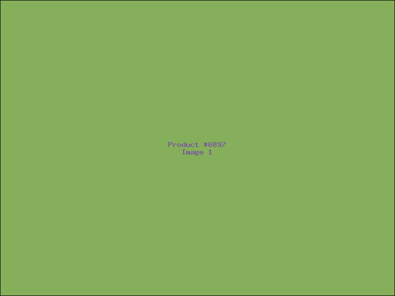 Example Product 6897