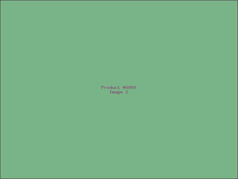 Example Product 6900 - Image 2
