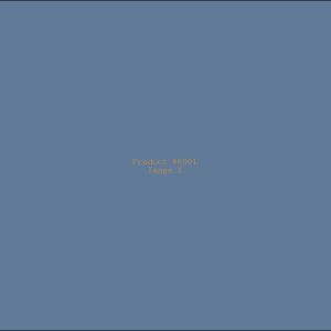Example Product 6901