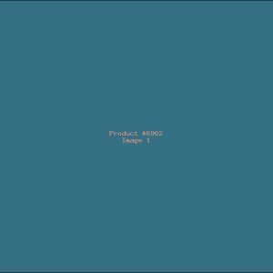 Example Product 6902