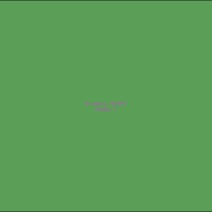 Example Product 6961