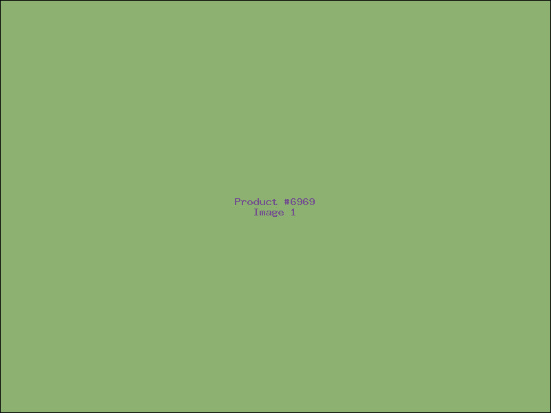 Example Product 6969