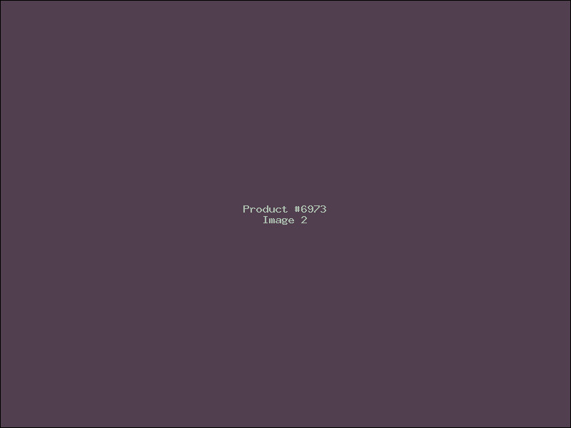 Example Product 6973 - Image 2