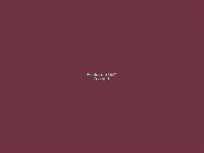 Example Product 6987