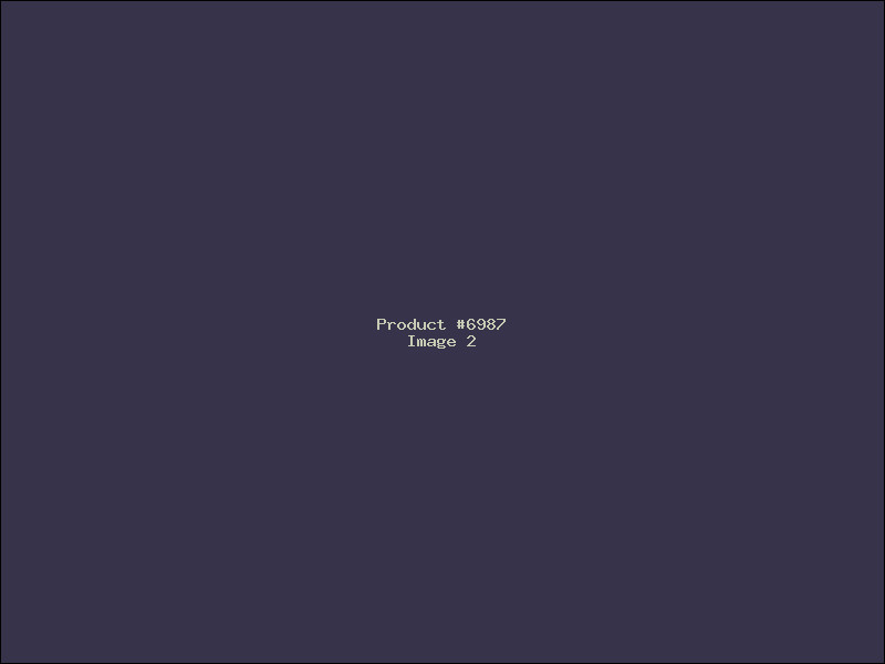 Example Product 6987 - Image 2
