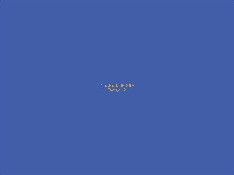 Example Product 6999 - Image 2