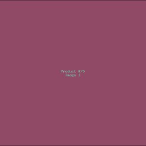 Example Product 70