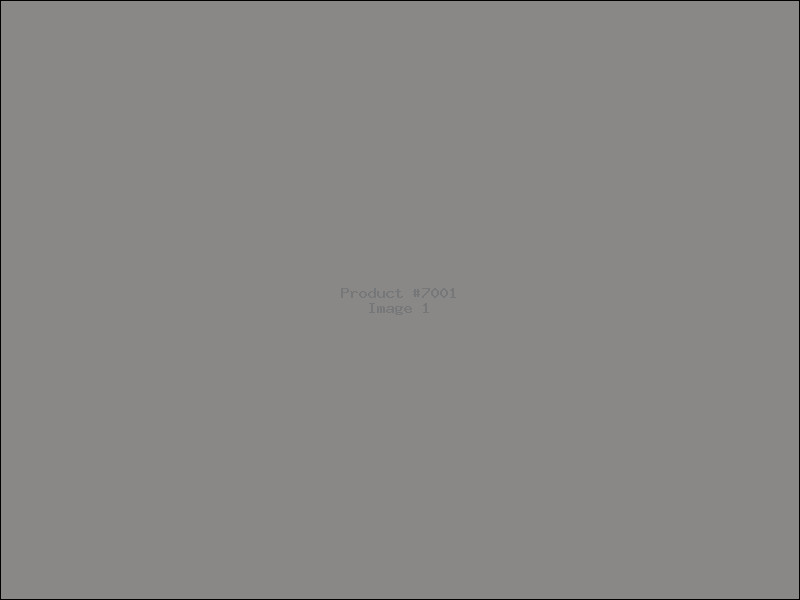 Example Product 7001